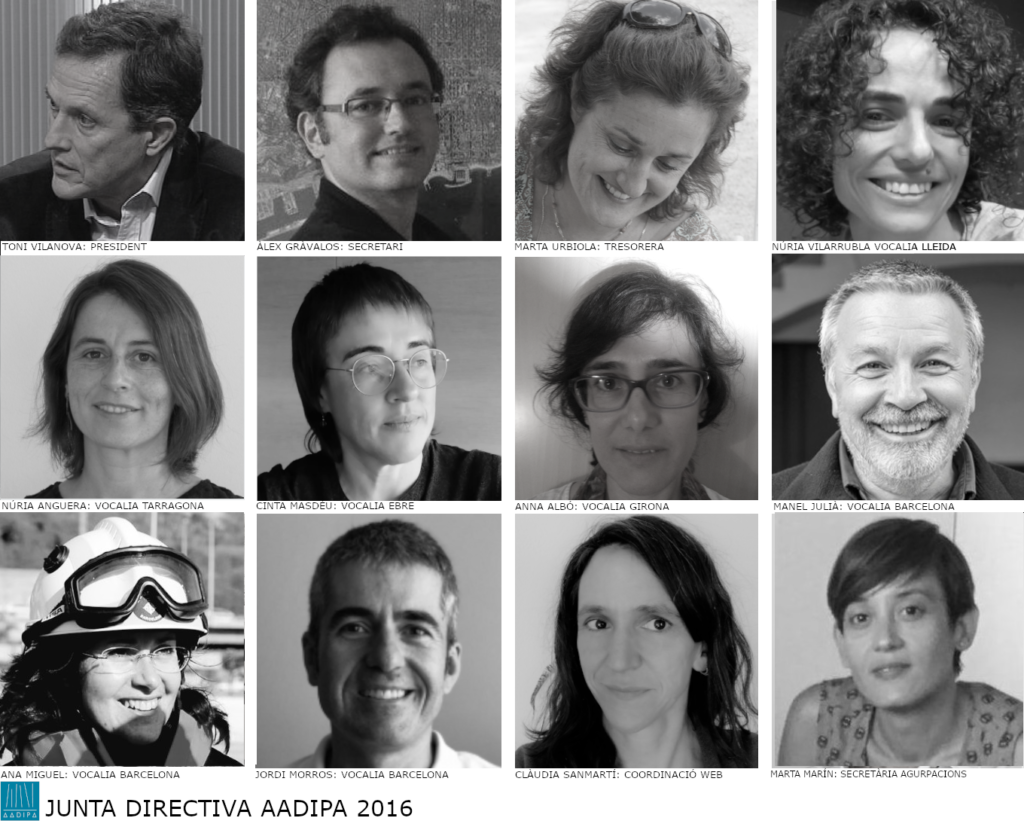 Junta directiva 2016