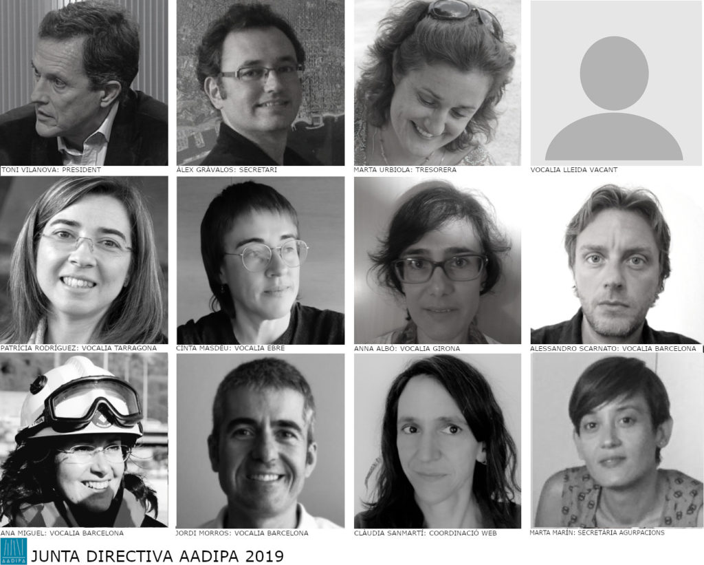 Junta directiva 2019